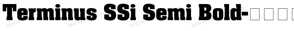 Terminus SSi Semi Bold字体转换